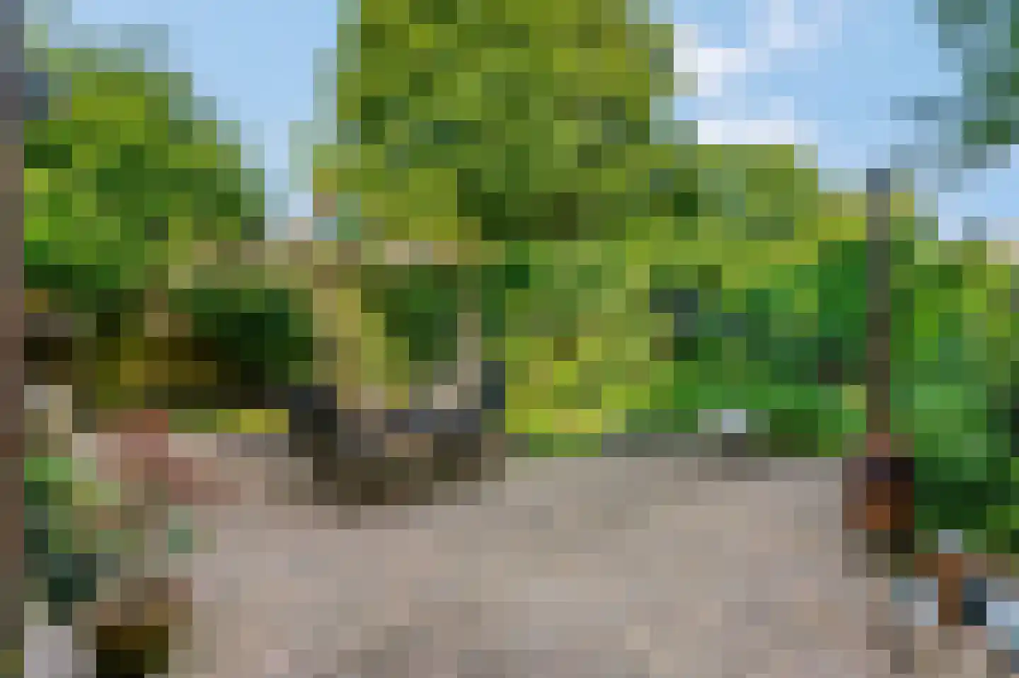 Slunterweg 48 Ede thumbnail 31