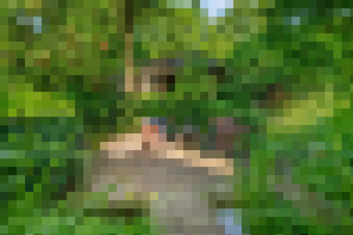 Slunterweg 48 Ede thumbnail 32