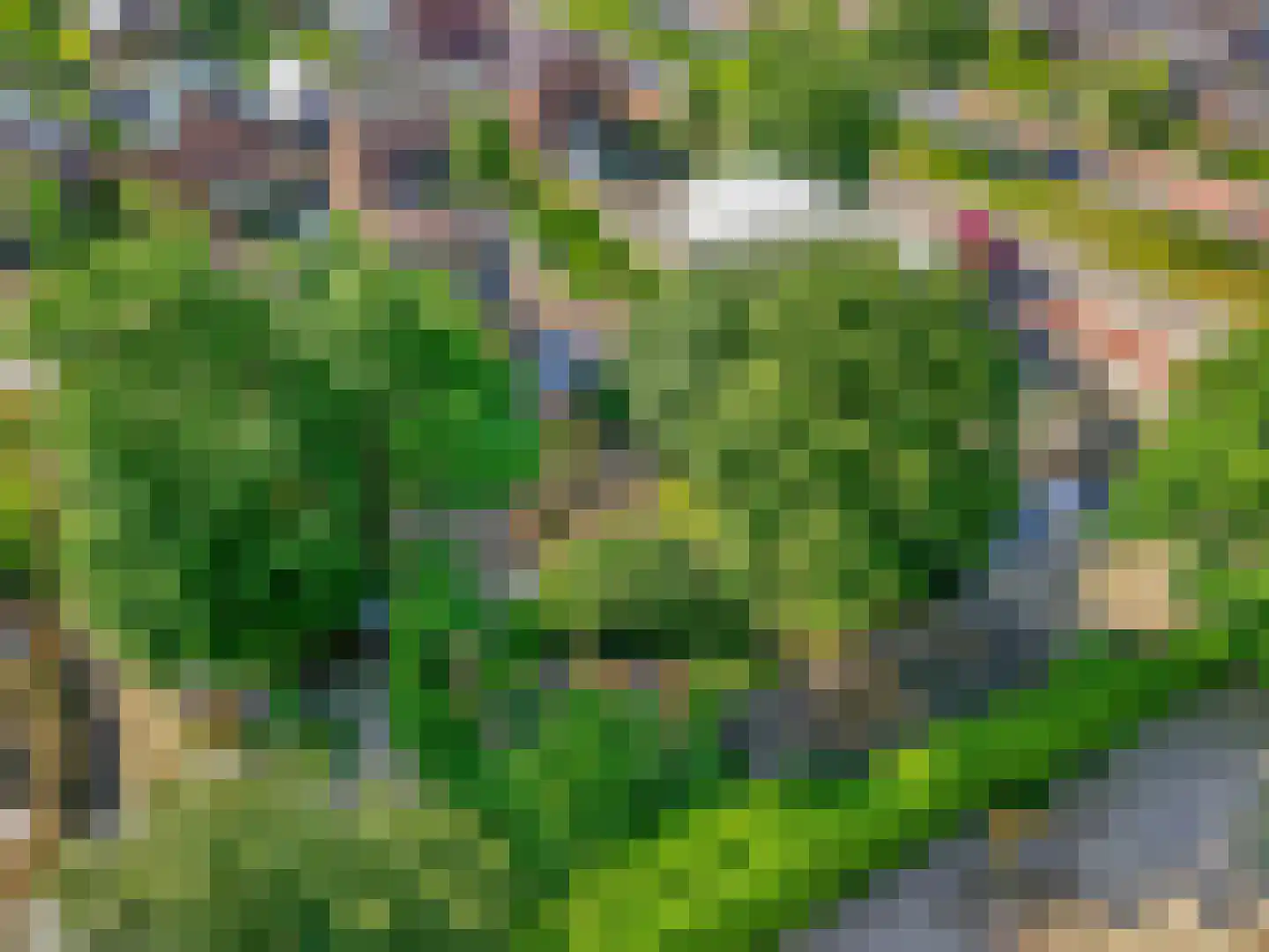 Slunterweg 48 Ede thumbnail 50