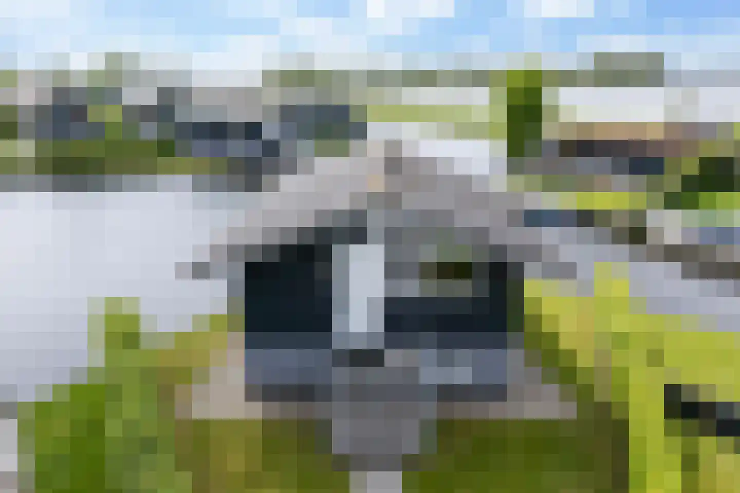 Slûs 14 Terherne thumbnail 10