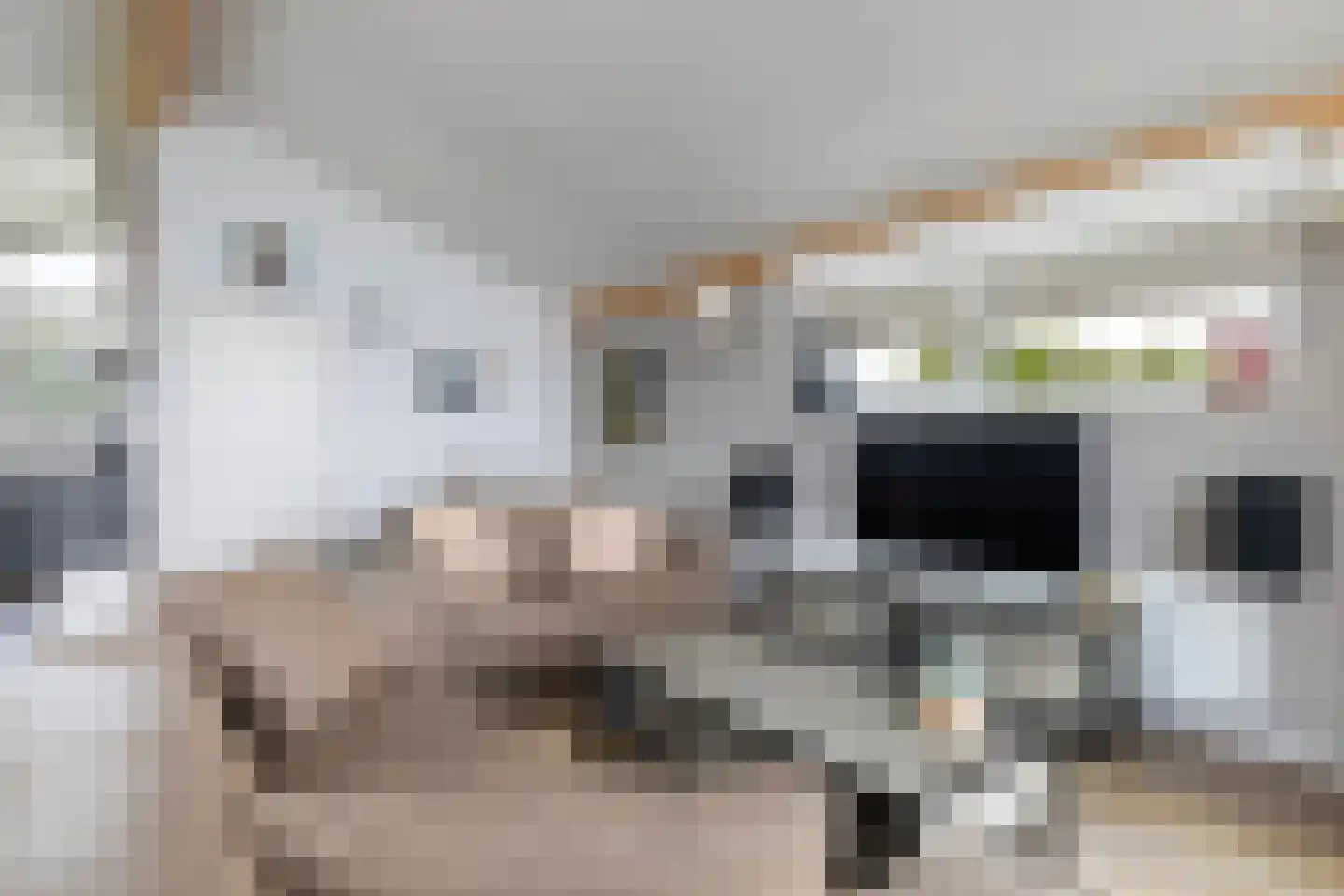 Slûs 14 Terherne thumbnail 16