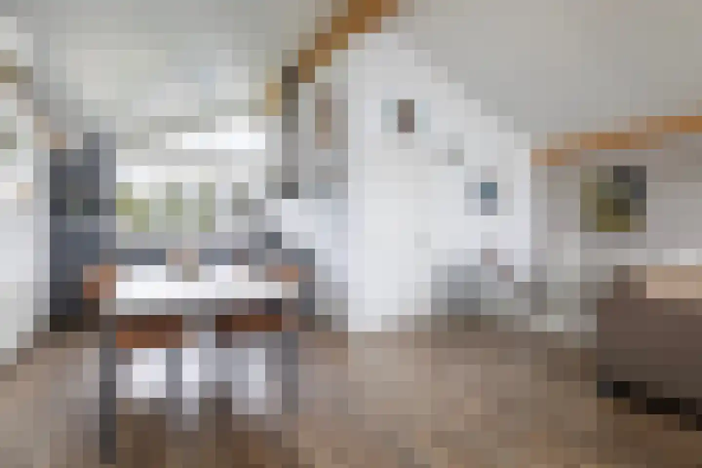 Slûs 14 Terherne thumbnail 18