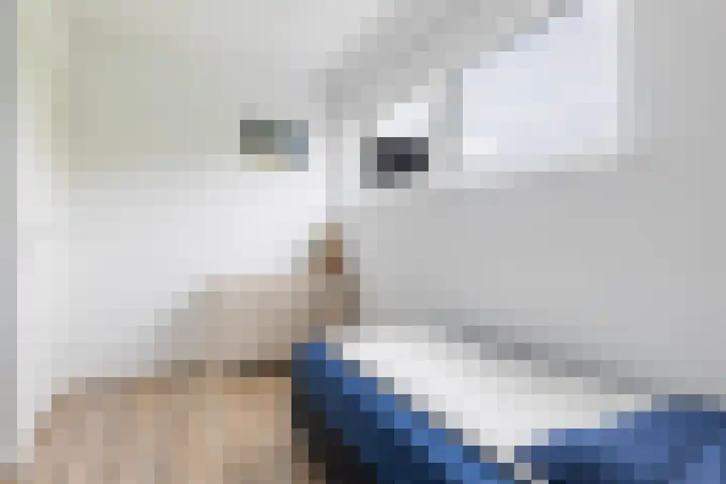 Slûs 14 Terherne thumbnail 30