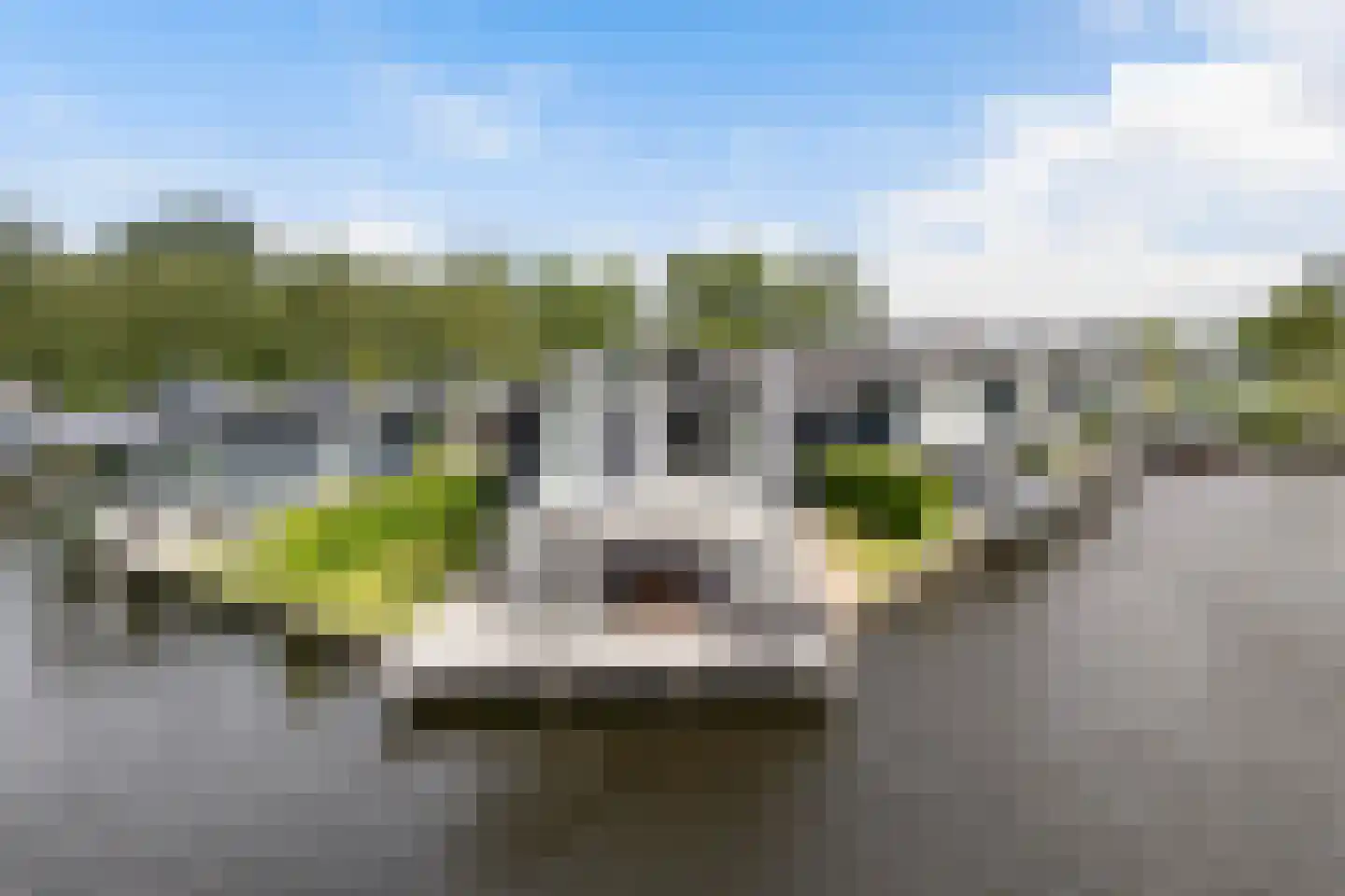 Slûs 14 Terherne thumbnail 7