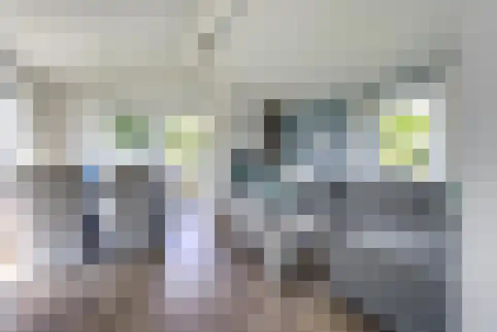 Slûs 16 Terherne thumbnail 15