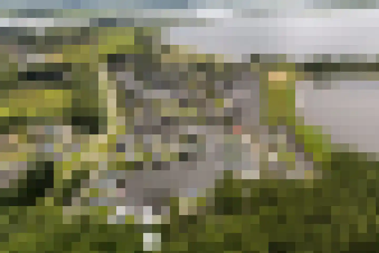 Slûs 23 Terherne thumbnail 14