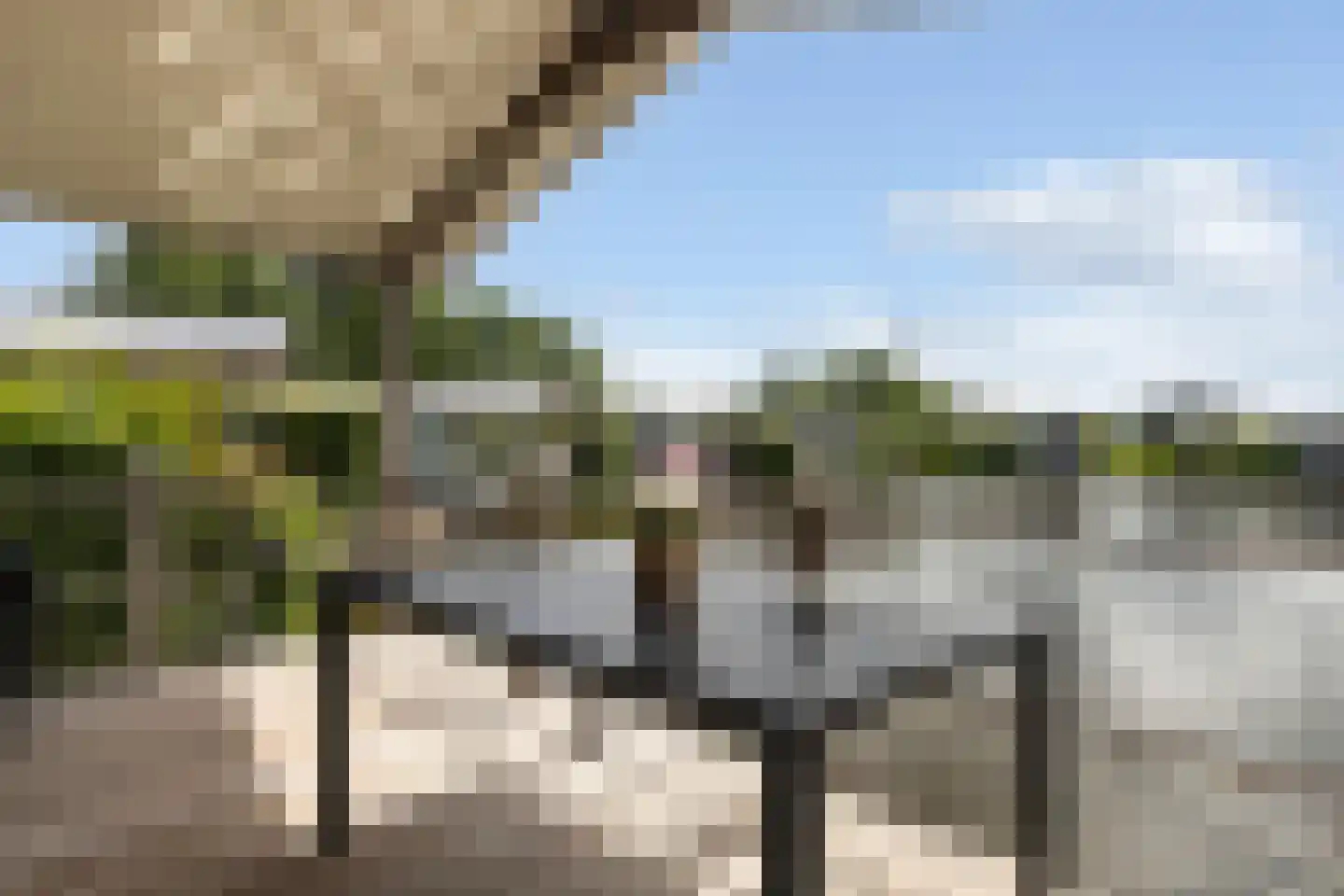 Slûs 23 Terherne thumbnail 30