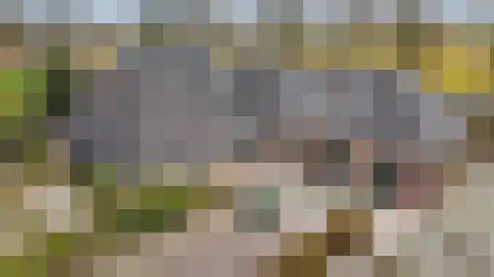 Slûsleane 2 Lippenhuizen thumbnail 12