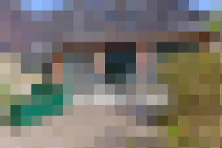 Slûsleane 2 Lippenhuizen thumbnail 13