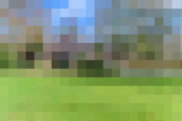 Slûsleane 2 Lippenhuizen thumbnail 15