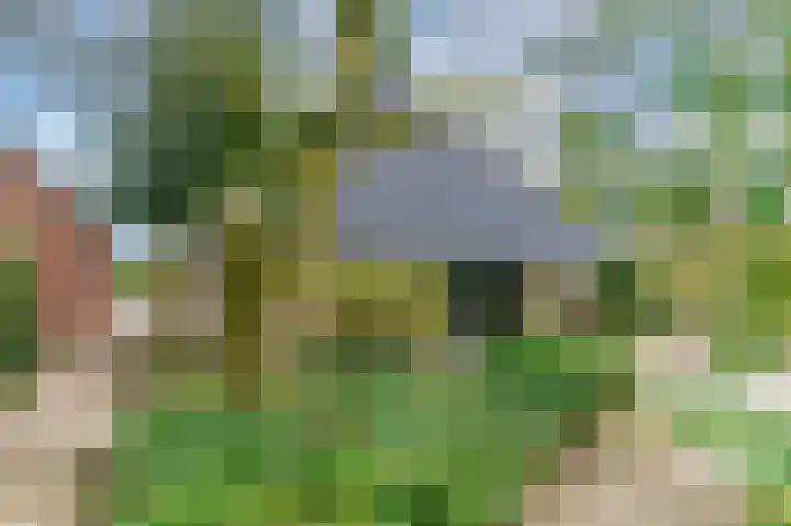 Slûsleane 2 Lippenhuizen thumbnail 16