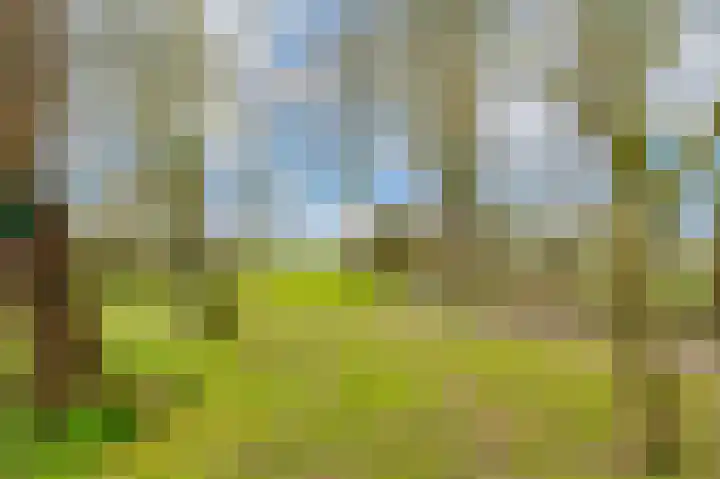 Slûsleane 2 Lippenhuizen thumbnail 20