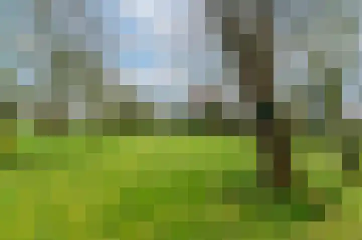 Slûsleane 2 Lippenhuizen thumbnail 21
