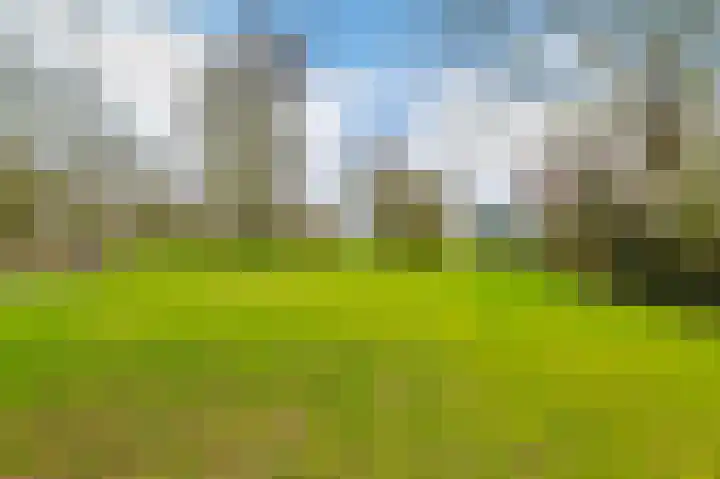 Slûsleane 2 Lippenhuizen thumbnail 22
