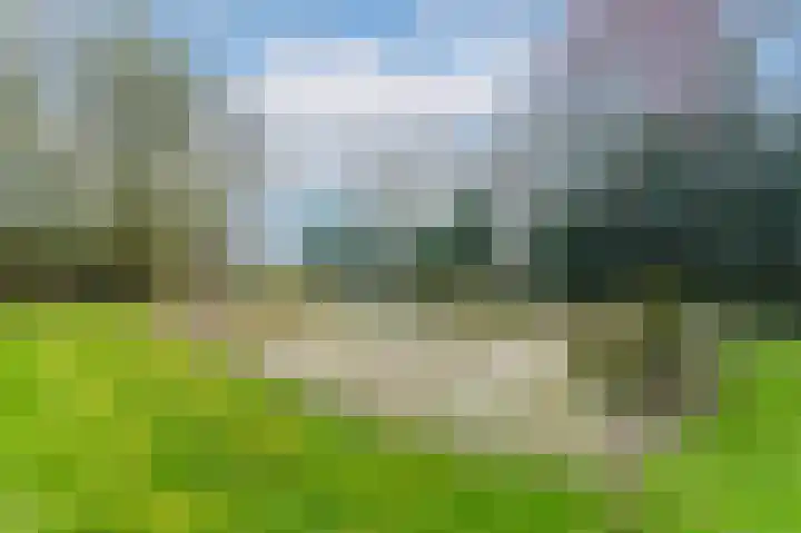 Slûsleane 2 Lippenhuizen thumbnail 23