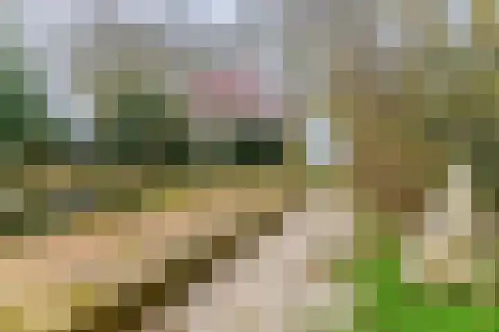 Slûsleane 2 Lippenhuizen thumbnail 24