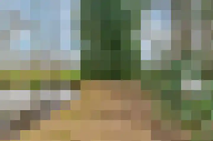 Slûsleane 2 Lippenhuizen thumbnail 25