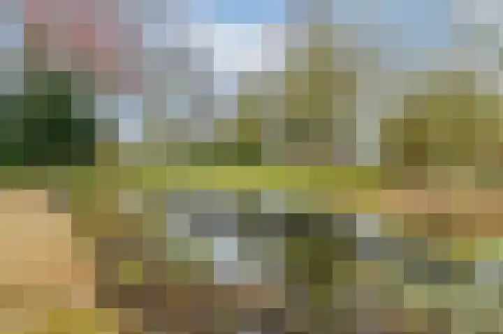 Slûsleane 2 Lippenhuizen thumbnail 26