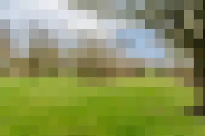 Slûsleane 2 Lippenhuizen thumbnail 27