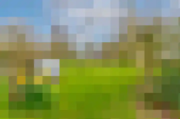 Slûsleane 2 Lippenhuizen thumbnail 28