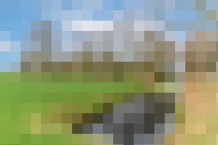 Slûsleane 2 Lippenhuizen thumbnail 33