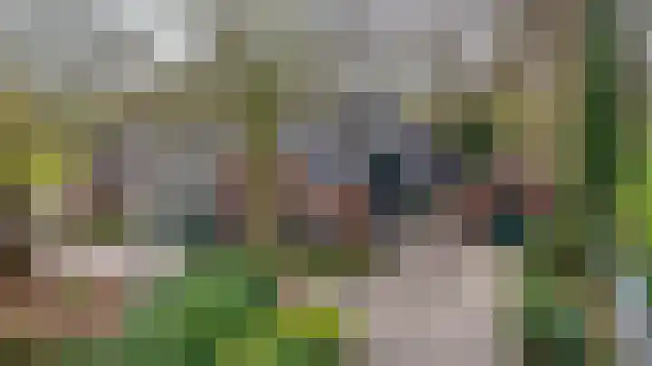 Slûsleane 2 Lippenhuizen thumbnail 34