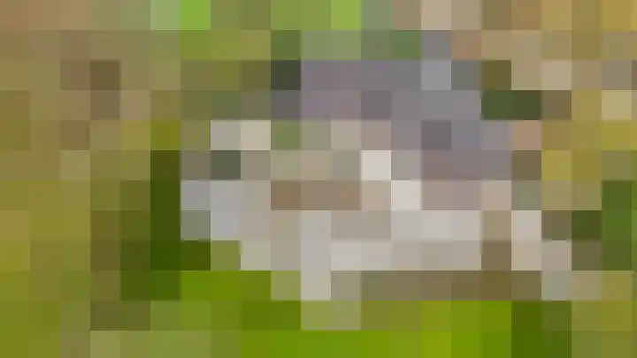 Slûsleane 2 Lippenhuizen thumbnail 35