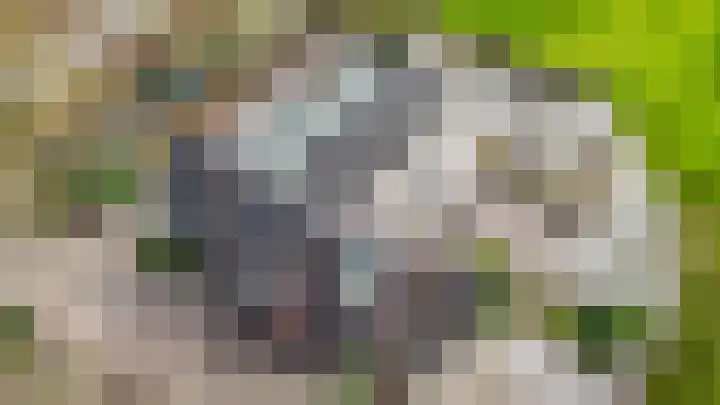 Slûsleane 2 Lippenhuizen thumbnail 36