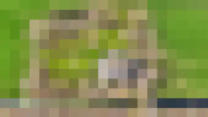 Slûsleane 2 Lippenhuizen thumbnail 37