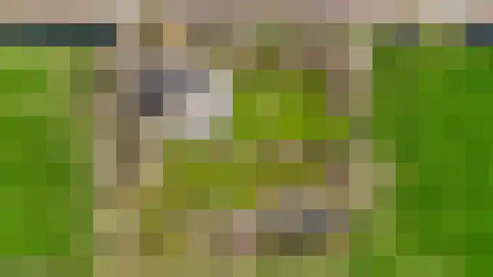 Slûsleane 2 Lippenhuizen thumbnail 40