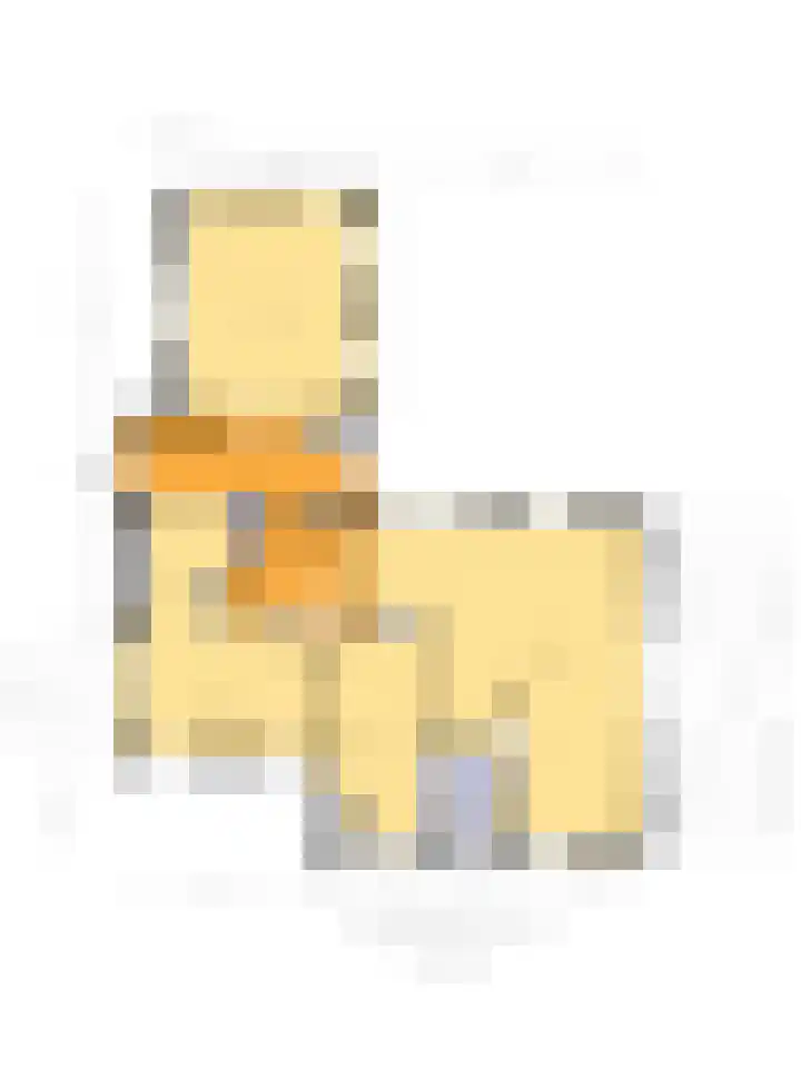 Slûsleane 2 Lippenhuizen thumbnail 5