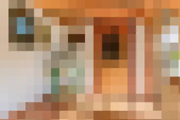 Slûsleane 2 Lippenhuizen thumbnail 52