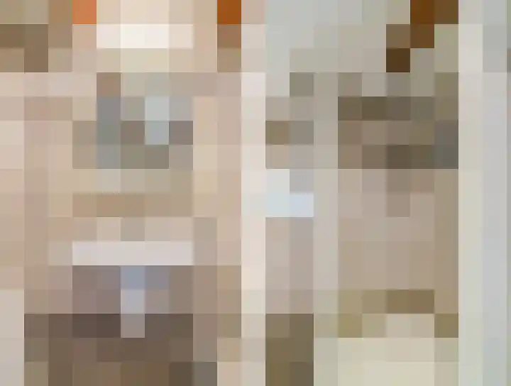 Slûsleane 2 Lippenhuizen thumbnail 67