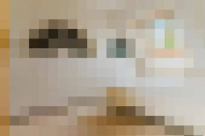 Slûsleane 2 Lippenhuizen thumbnail 71