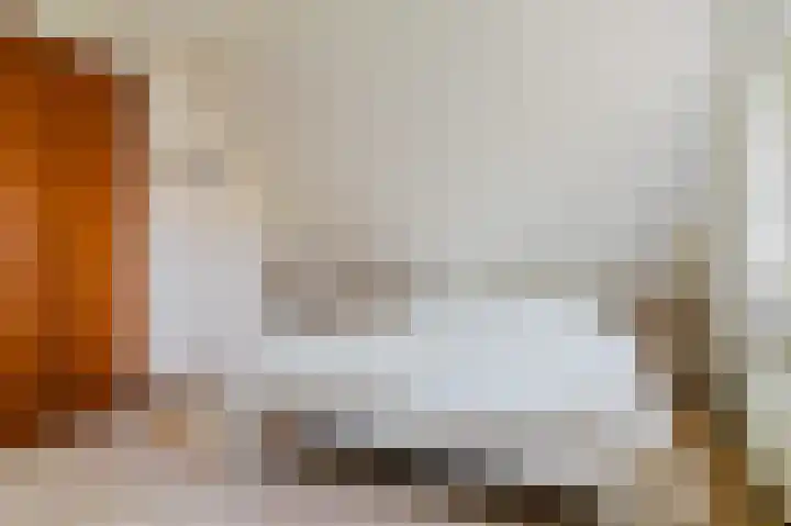 Slûsleane 2 Lippenhuizen thumbnail 73