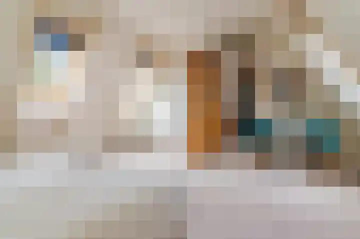 Slûsleane 2 Lippenhuizen thumbnail 75