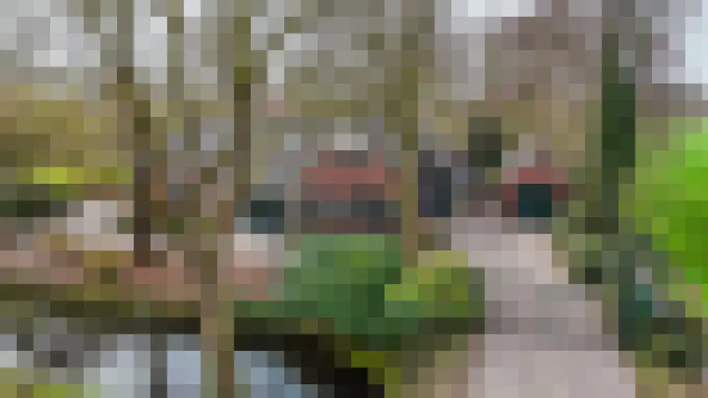 Slûsleane 2 Lippenhuizen thumbnail 84