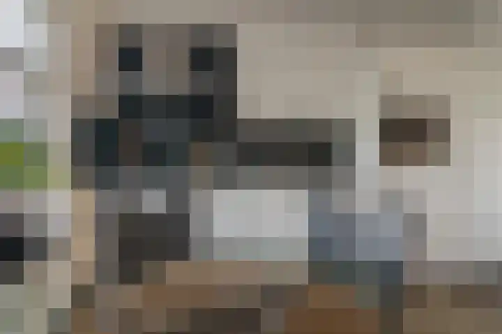 Slûswei 8 De Veenhoop thumbnail 10