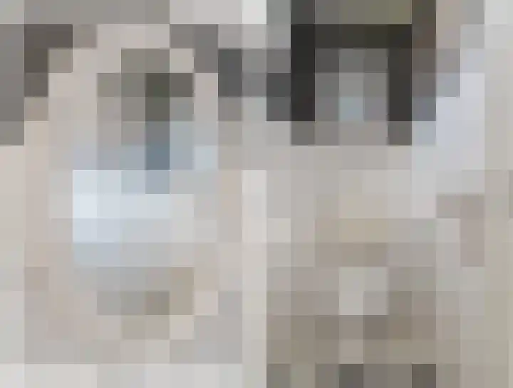 Slûswei 8 De Veenhoop thumbnail 13