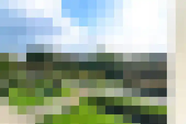 Slûswei 8 De Veenhoop thumbnail 21