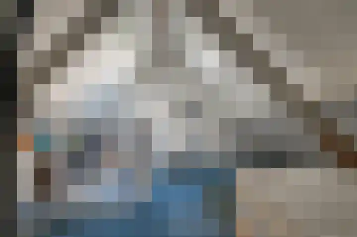 Slûswei 8 De Veenhoop thumbnail 26