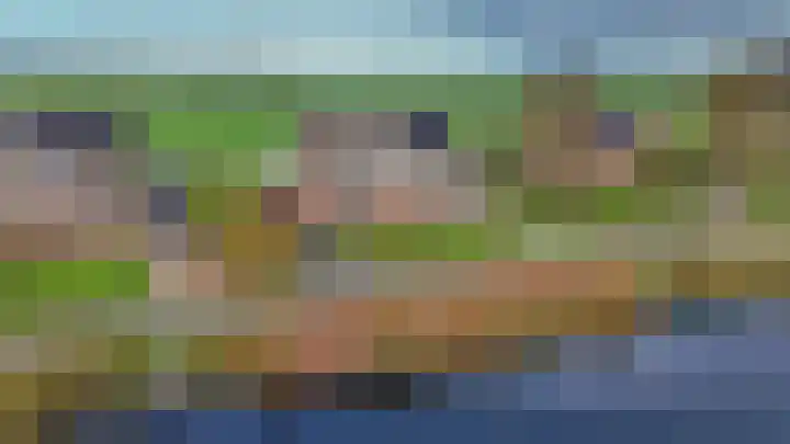 Slûswei 8 De Veenhoop foto 3