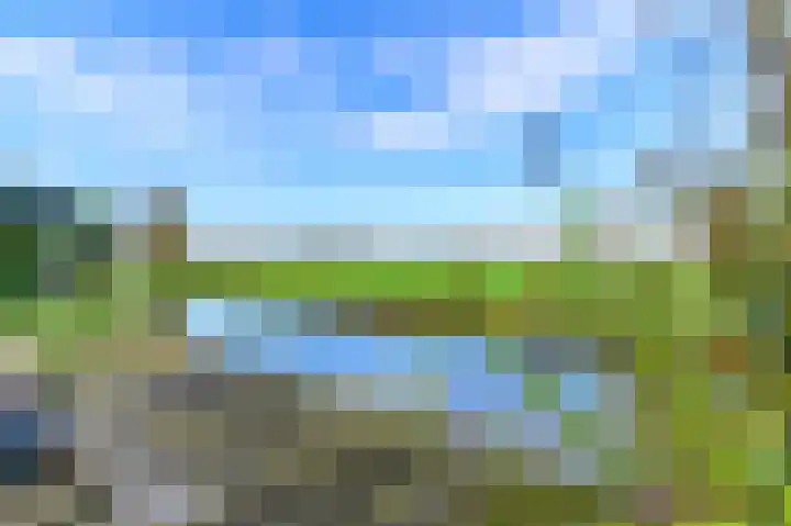Slûswei 8 De Veenhoop thumbnail 31