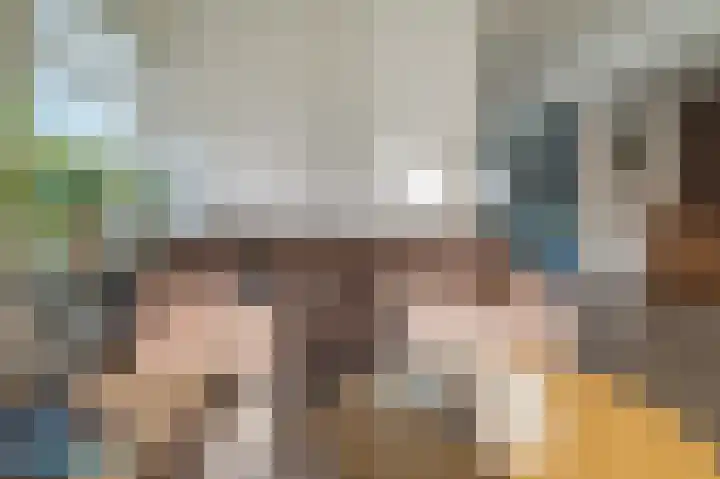 Slûswei 8 De Veenhoop thumbnail 7