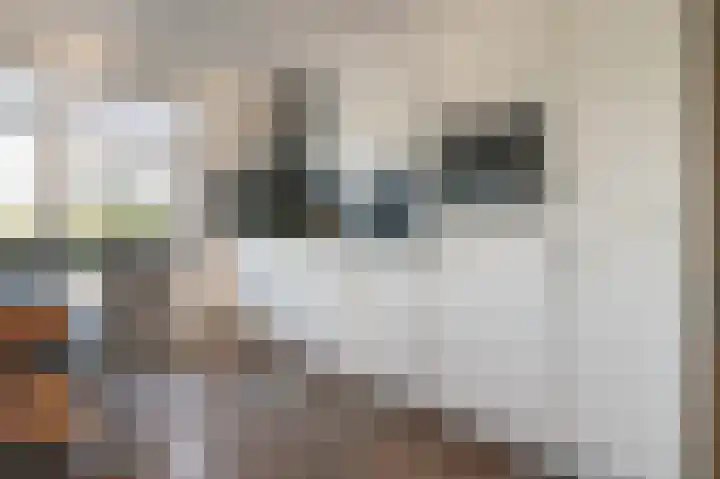 Slûswei 8 De Veenhoop thumbnail 9