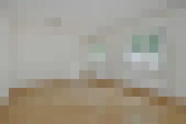 Slutelakker 38 Lierop thumbnail 14