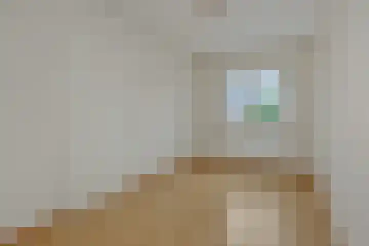 Slutelakker 38 Lierop thumbnail 16