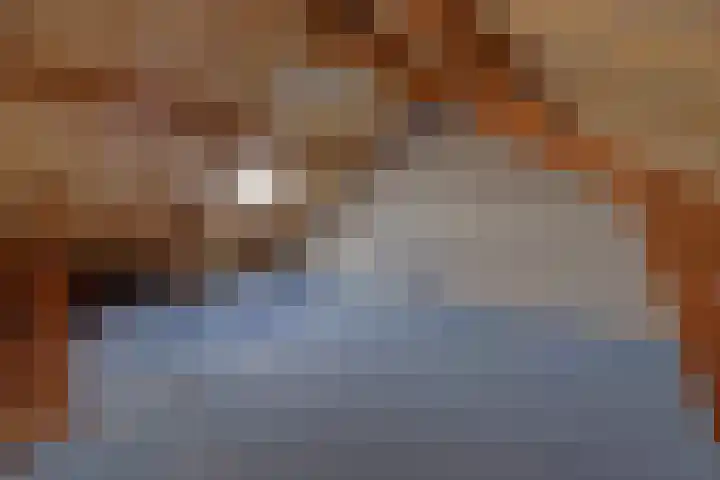 Slutelakker 38 Lierop thumbnail 19
