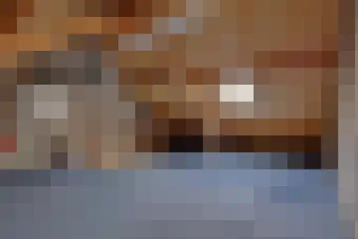 Slutelakker 38 Lierop thumbnail 20