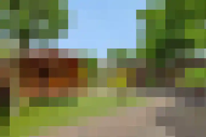 Slutelakker 38 Lierop thumbnail 22